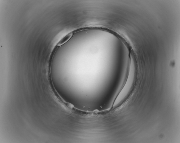 X0000090461277200707272229