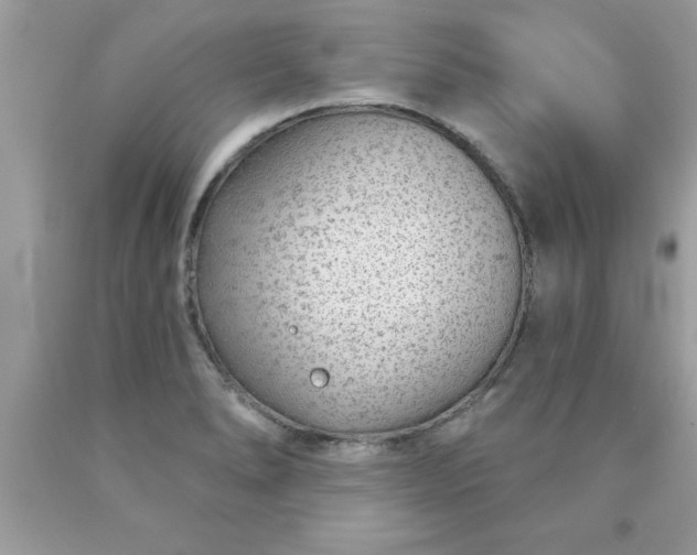 X0000090461278200707272229