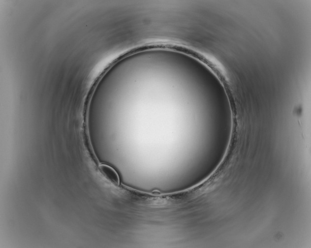 X0000090461279200707272229