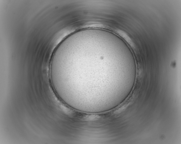X0000090461282200707272229