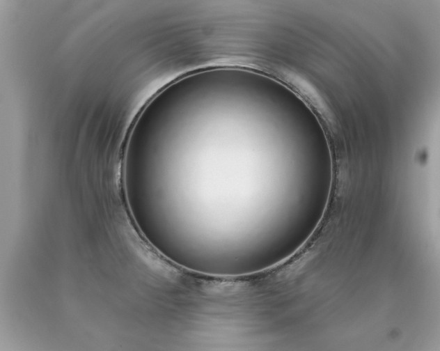 X0000090461284200707272229
