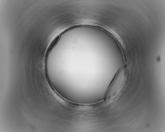 X0000090461285200707272229