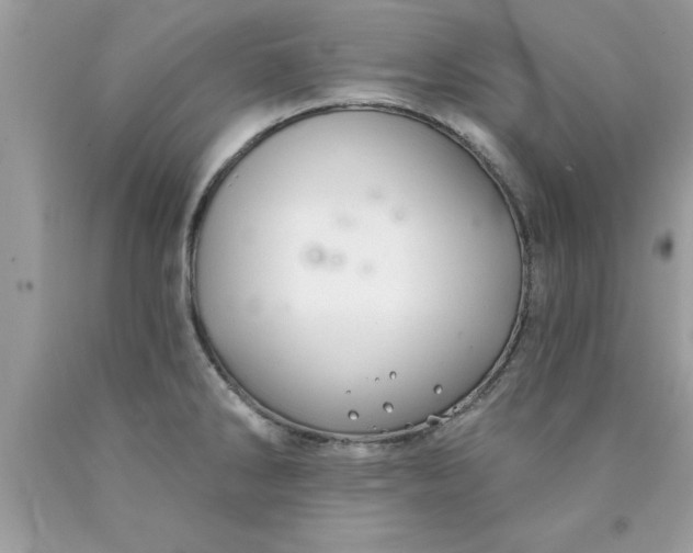 X0000090461286200707272229