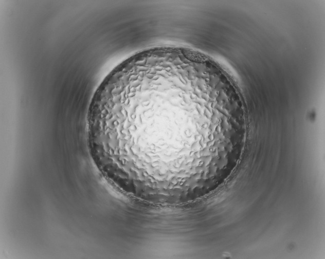 X0000090461287200707272229