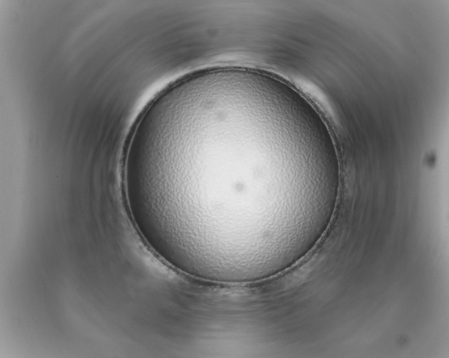 X0000090461288200707272229