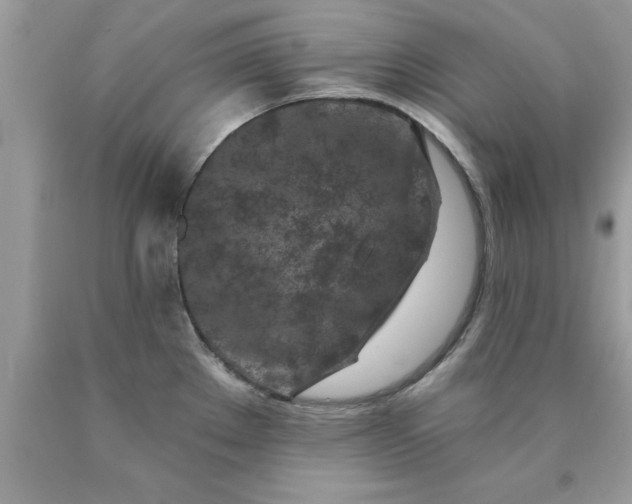 X0000090461289200707272229