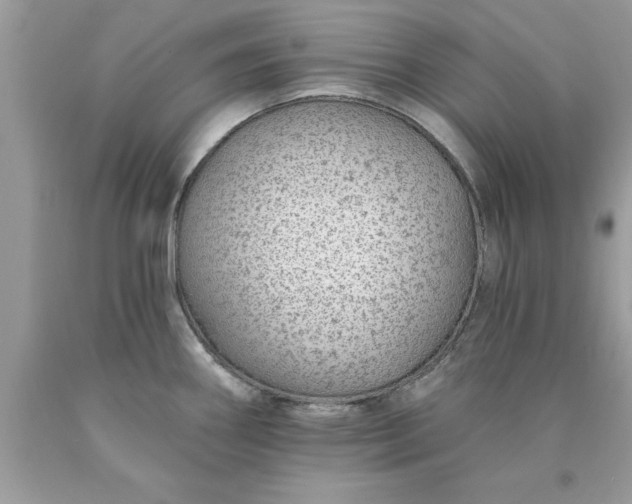 X0000090461290200707272229