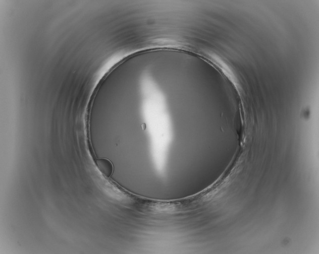 X0000090461291200707272229
