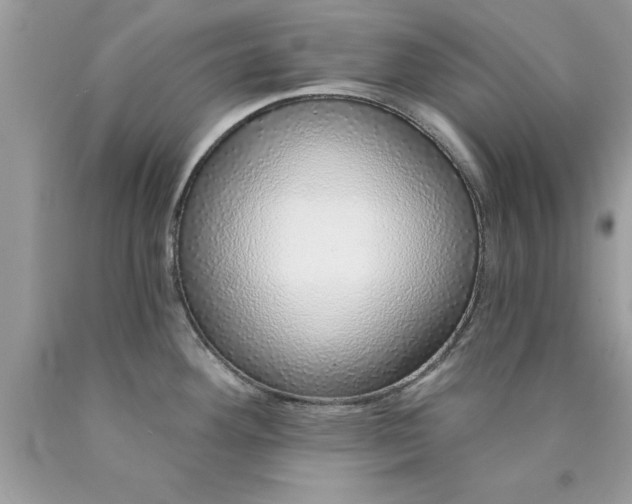 X0000090461292200707272229