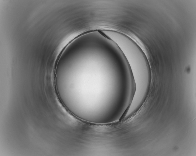 X0000090461293200707272229