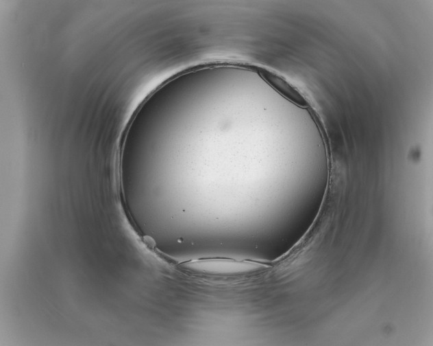X0000090461295200707272229