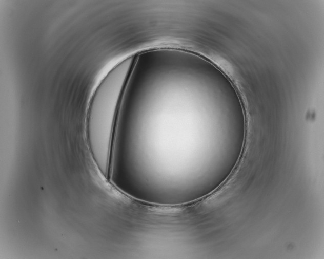 X0000090461296200707272229