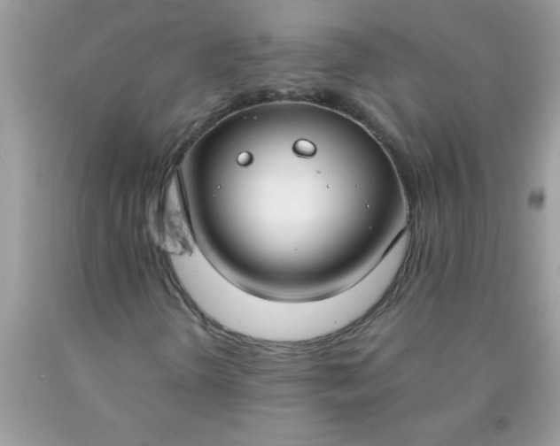 X0000090461298200707272228