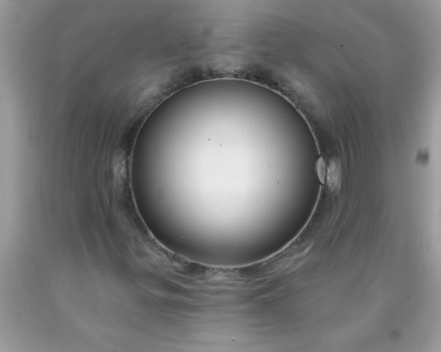 X0000090461299200707272228