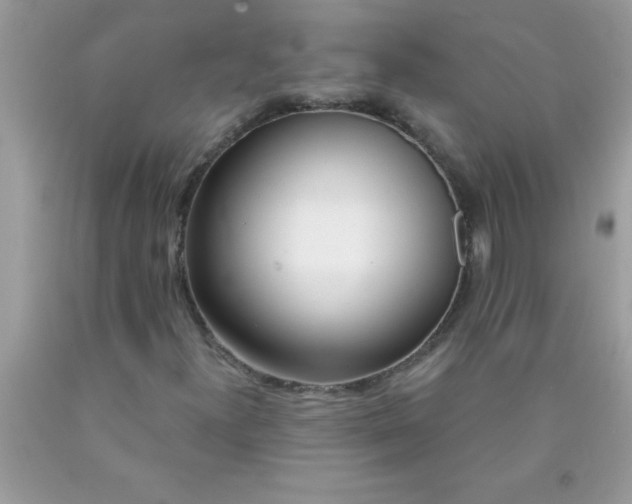 X0000090461300200707272228