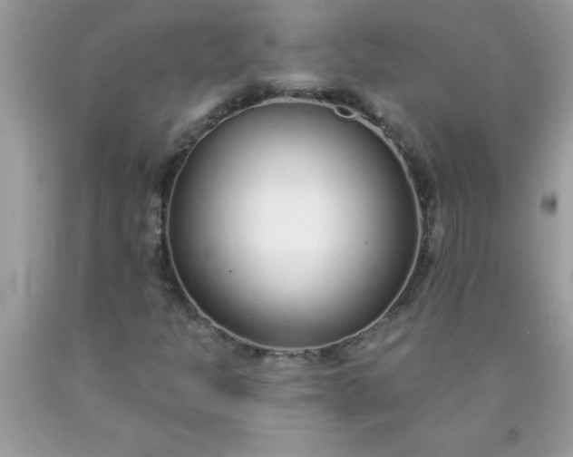 X0000090461301200707272228