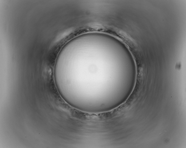 X0000090461302200707272228