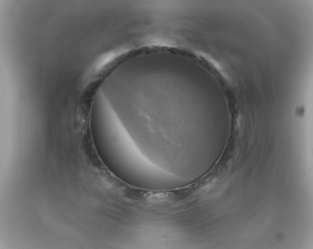X0000090461303200707272228