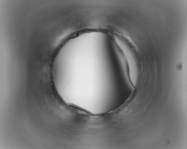 X0000090461304200707272228