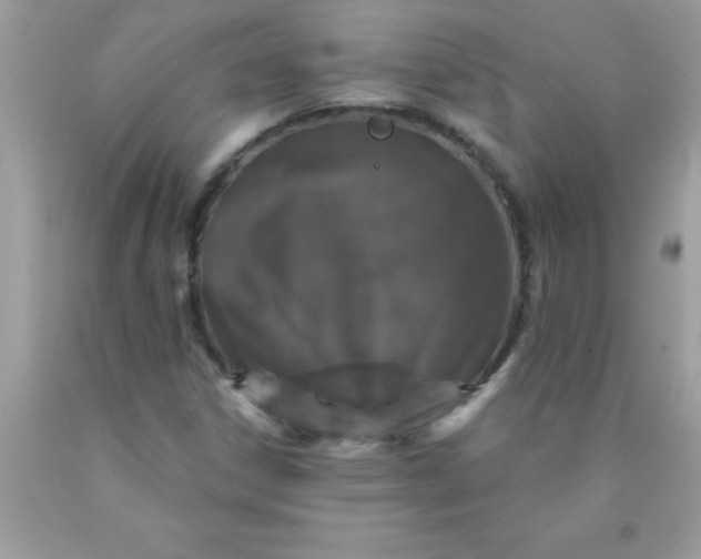 X0000090461306200707272228