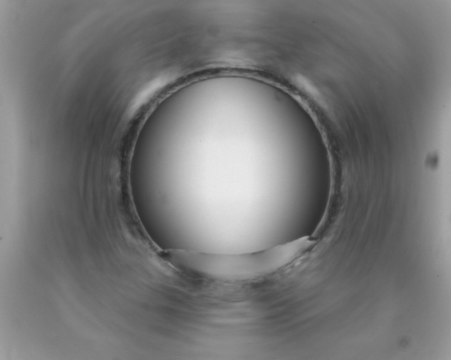 X0000090461307200707272228
