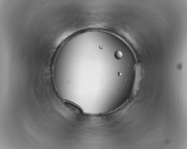 X0000090461308200707272228