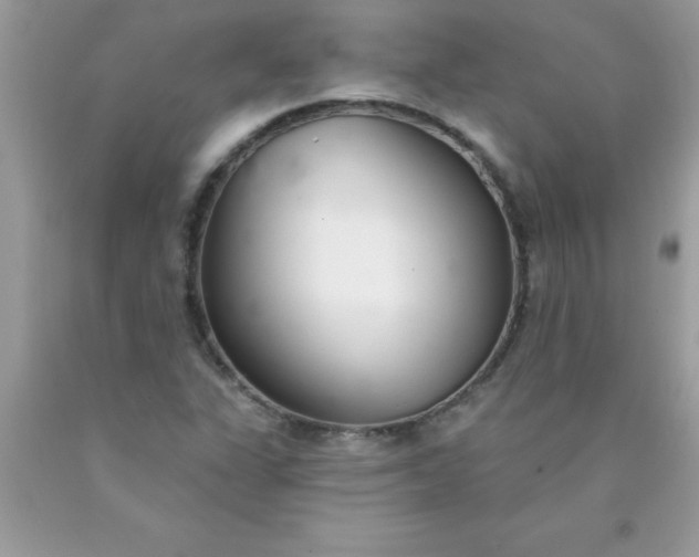 X0000090461311200707272228