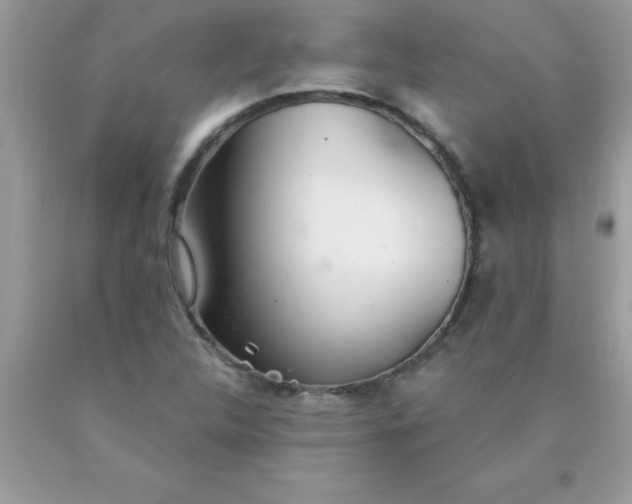 X0000090461312200707272228