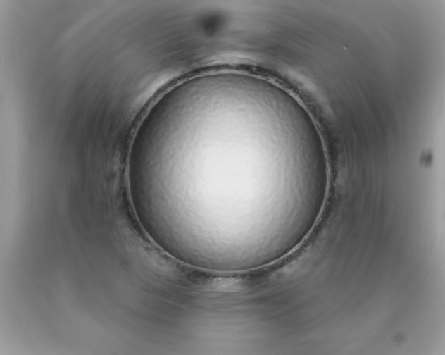 X0000090461313200707272228