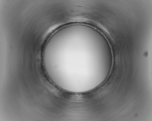 X0000090461315200707272228