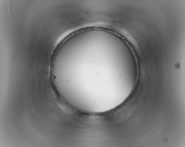 X0000090461316200707272228