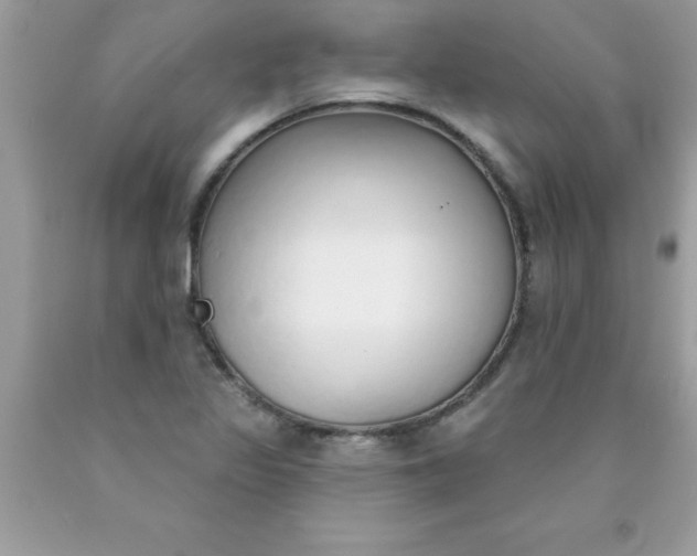 X0000090461317200707272228