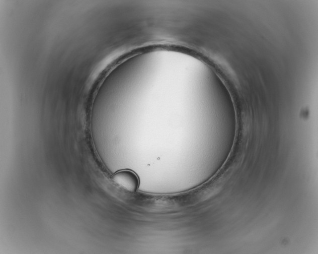 X0000090461318200707272228