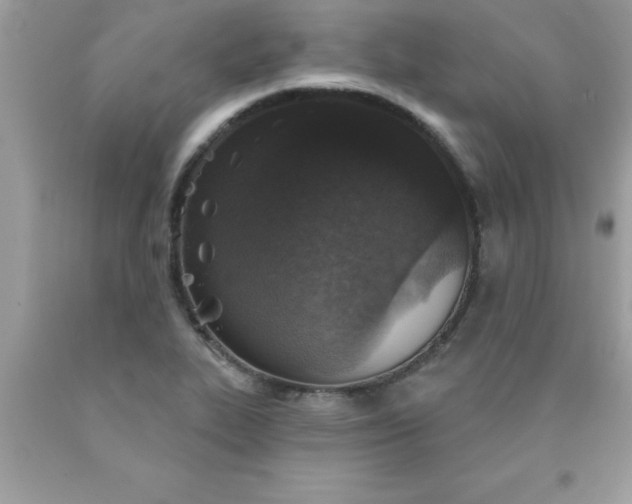 X0000090461319200707272228