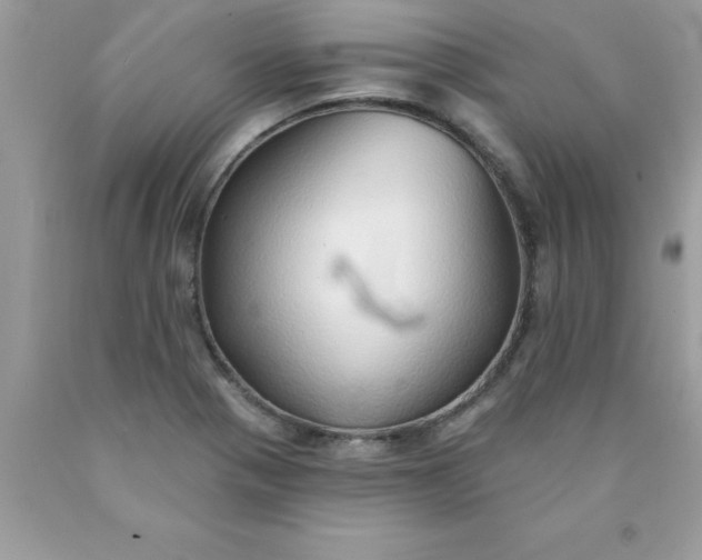 X0000090461321200707272229
