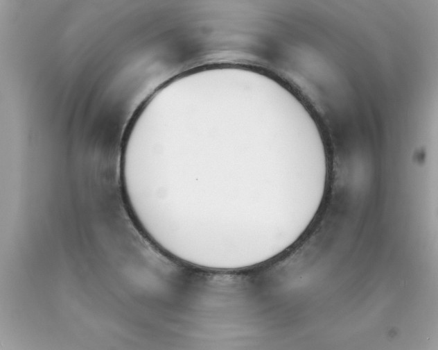 X0000090461322200707272229