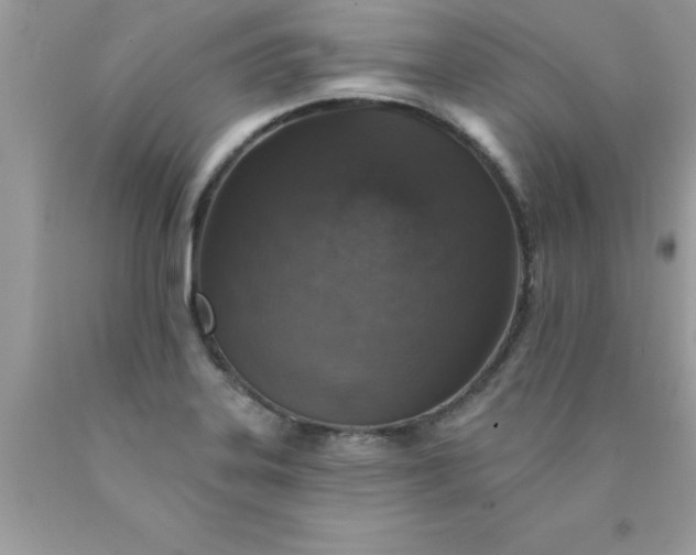 X0000090461323200707272229