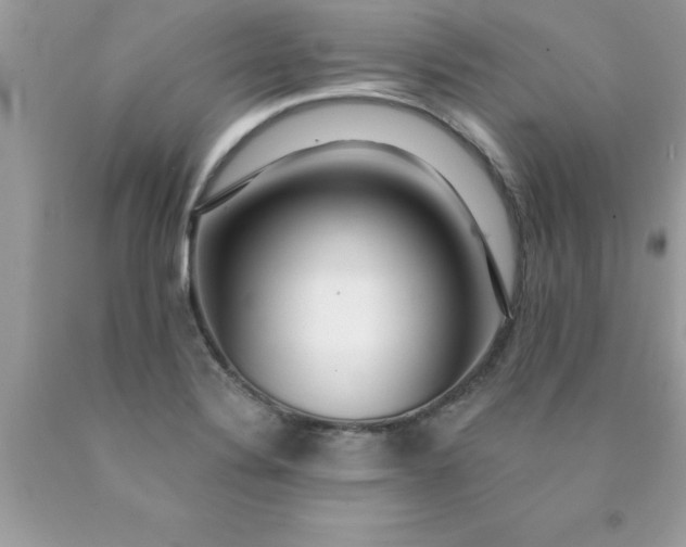 X0000090461324200707272229