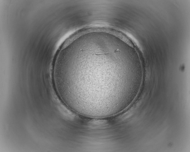 X0000090461325200707272229