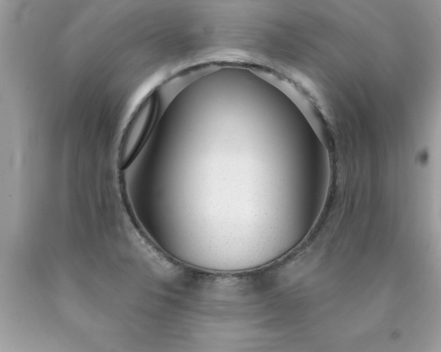 X0000090461326200707272229