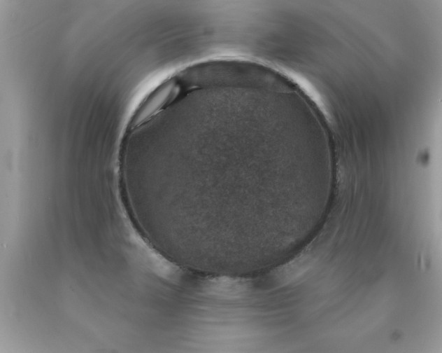 X0000090461327200707272229