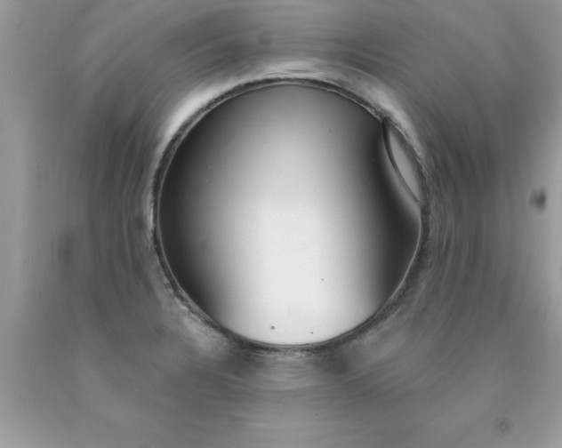 X0000090461328200707272229