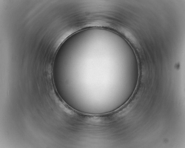 X0000090461329200707272229