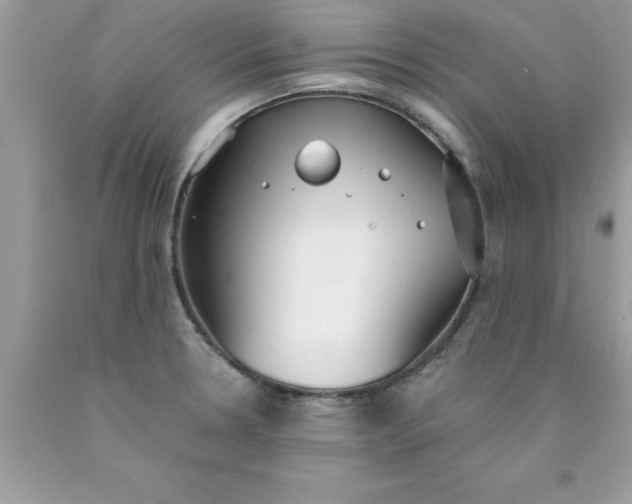 X0000090461330200707272229