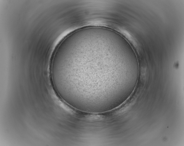 X0000090461331200707272229