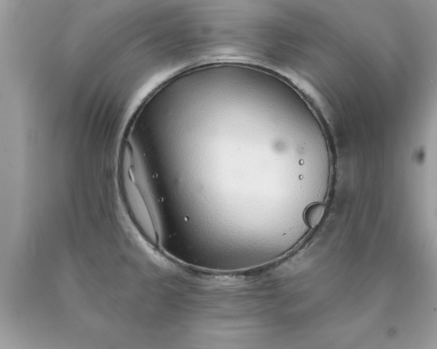 X0000090461333200707272229