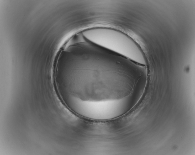 X0000090461334200707272229