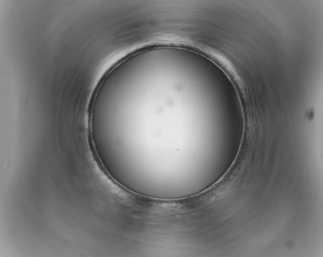X0000090461335200707272229