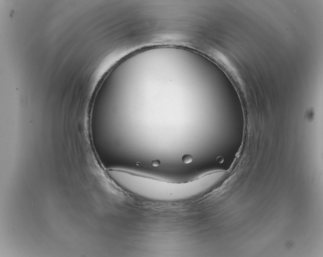 X0000090461336200707272229