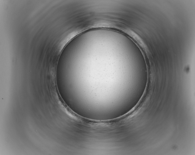 X0000090461337200707272229